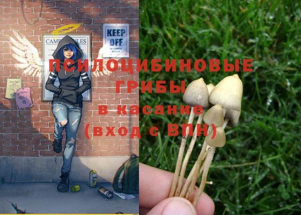 прущая мука Наволоки