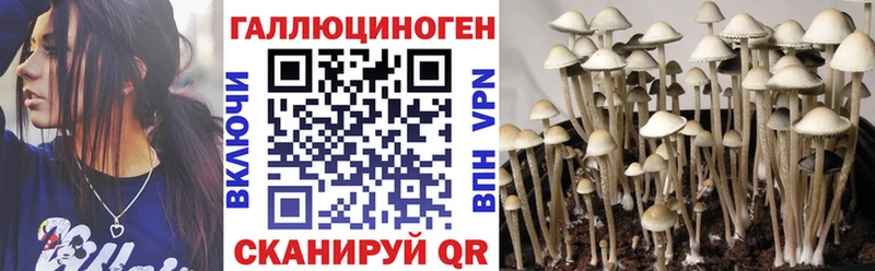 Купить  Сысерть  Псилоцибиновые грибы Magic Shrooms 